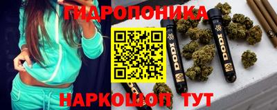 хмурый Гай